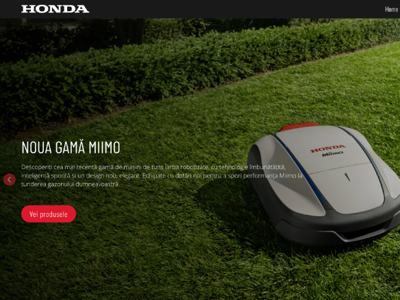 Site de prezentare